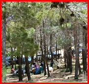 picnic area