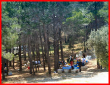 picnic area
