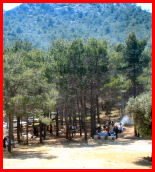 bbq area